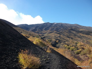 nte Zappinazzo-04-11-2012 10-49-33